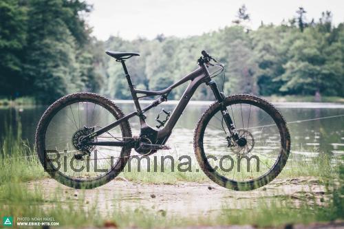 Specialized Turbo Levo FSR Comp 29 ficha técnica y opiniones